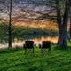 The Tumbleweed | Bunk House (Sleeps 8)