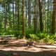 Campspot slideshow image 3