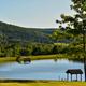 Campspot slideshow image 1
