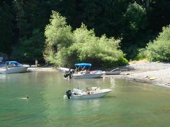 Fir Cove Campground Ruth Lake Shoreline