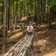 On-site alpine coaster/rail ride through the woods — highlights a distinctive on-property attraction and activity shown in the park’s marketing photos.