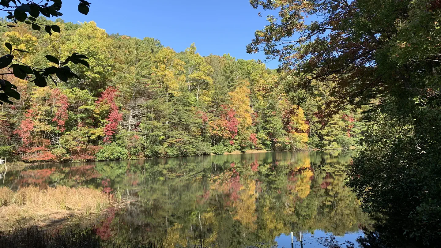 Dockery Lake Recreation Area