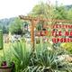 Entrance with sign and cacti
