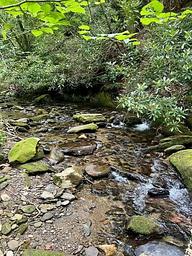 Basin Cove Creek