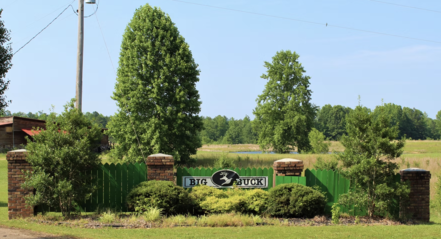 Big Buck Resort