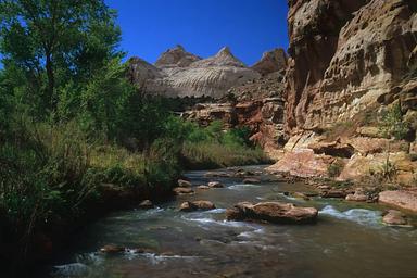 A stream with red-brown rocks in it. On the left side is green foliage. On the right side is a red-brown cliff. In the background is a white rock formation rising into a vibrant blue sky.