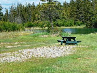 Spruce Grove Campground