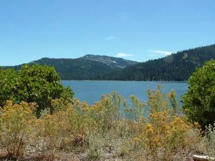Findley Campground