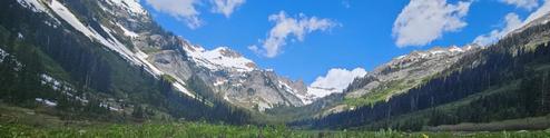 South Fork Group Site