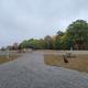 Empty campground with picnic tables and autumn trees.