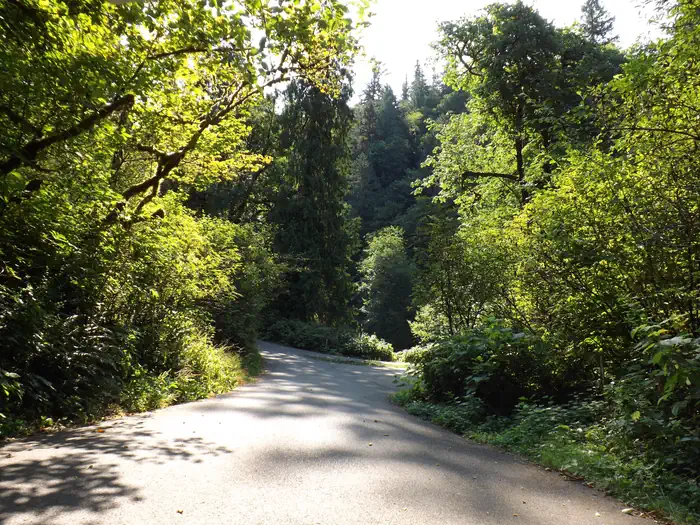 Alder Glen Recreation Site