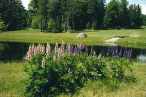 Fogg Brook Resort