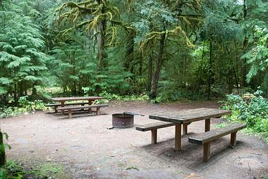 La Wis Wis Campsite
