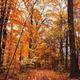 Campspot slideshow image 3