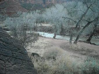 South Campground (UT)