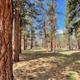 Campspot slideshow image 1