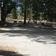 Council Camp picnic tables under the shade