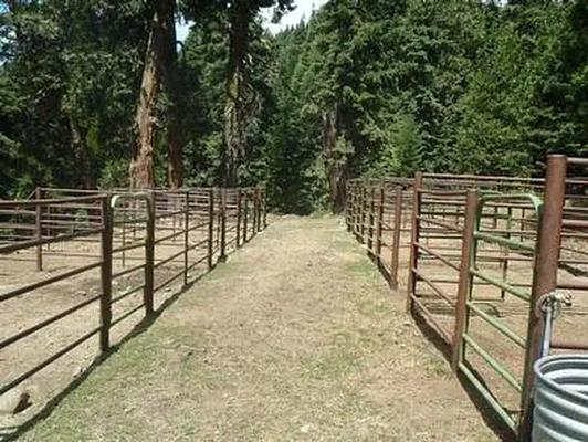001, Loop: AREA CARTER MEADOWS HORSE GROUP