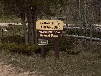 Yellow Pine CG entry