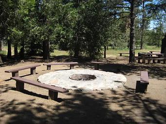 Wooded Hill Group Campground
