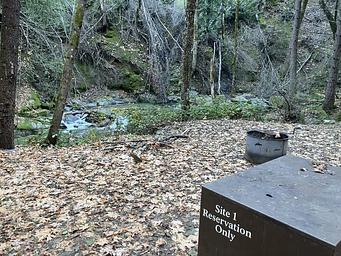 Site 1 Crystal Creek Primitive Campground