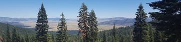 Yuba Pass Campground