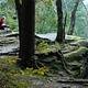 A park visitor and her dog enjoy the Ledges overlook
