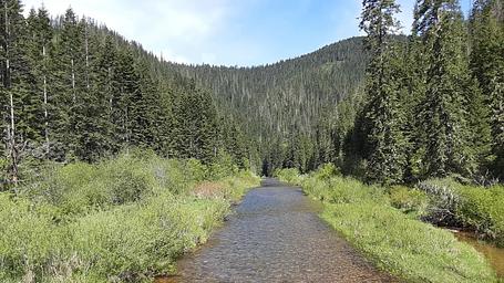 Honeysuckle Campground