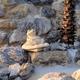 Detail shot of decorative stonework and frog sculptures likely part of the park's landscaping/waterfall feature; complements clubhouse and grounds photos shown on the site.