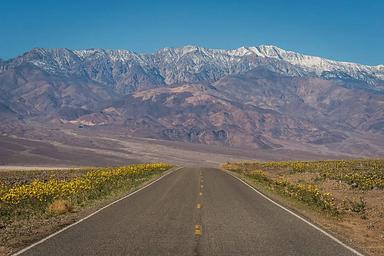 Furnace Creek Campground