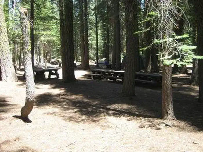 Coyote Group