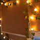 “The Bear Den” Camper Van Conversion