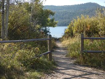 Path