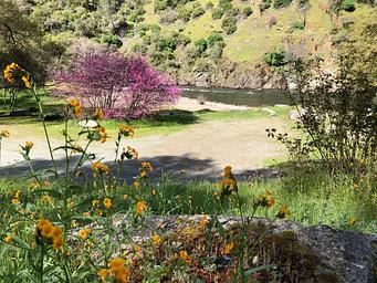 McCabe Flat Campground—Spring time