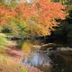 Scenic riverside view with trees in autumn colors along a watercourse — represents the campground’s river frontage and natural setting (slide05b on the property site).