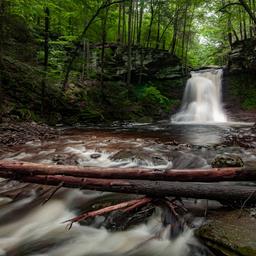 Best Campground Near Me