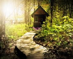 Searsport Shores Ocean Camping