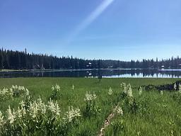Woodward Campground