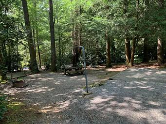 Van Hook Glade Campground 2