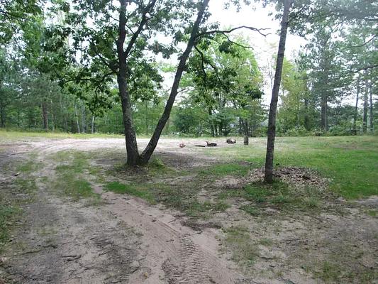 001, Loop: BEAR LAKE CAMPSITE