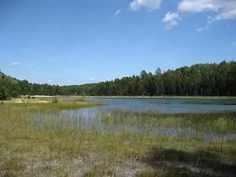 A view of Wagner Lake from Chimney Loop Campground