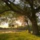 Campspot slideshow image 1