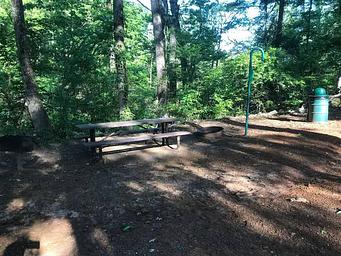 Campsite #8.