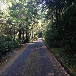 Panther Flat Campground