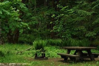 Blue Lake Creek Campground