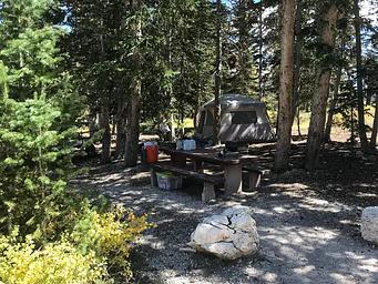 Twelve Mile Flat Campground  SITE