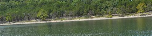 Aunts Creek