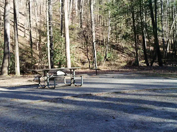 Low Gap Campground