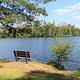 Bench on lakeshore