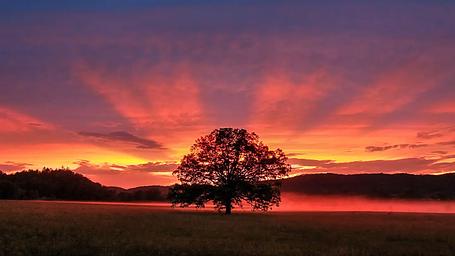 Dramatic Sunset From Cades Cove Loop Road